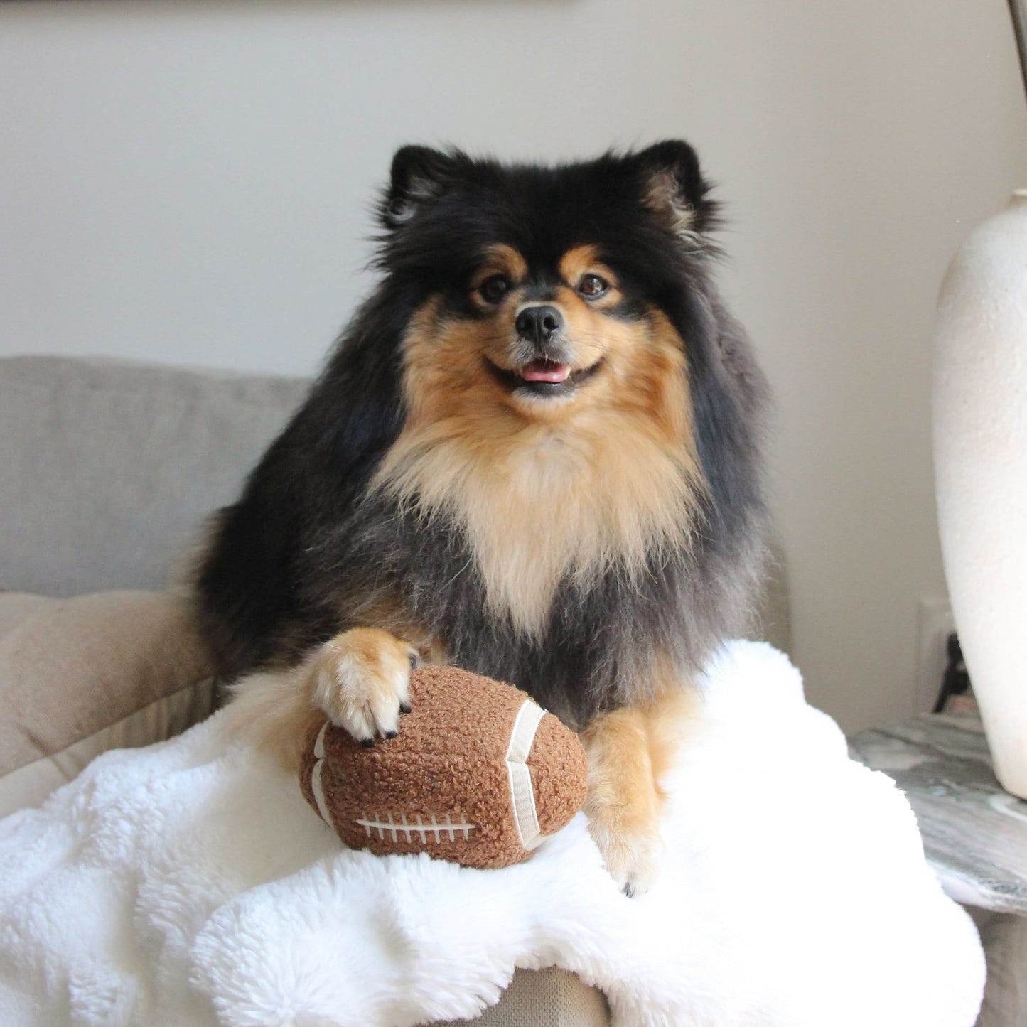 LAMBWOLF Schnüffelspielzeug Football – Hund spielt mit dem Football