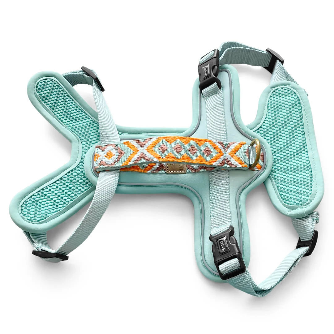 Hundegeschirr Gepolstert Mint/Orange