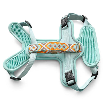 Hundegeschirr Gepolstert Mint/Orange