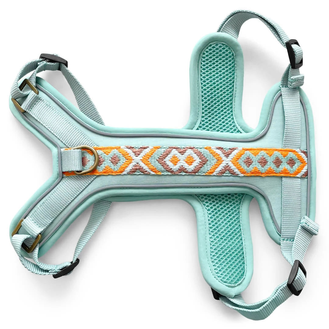 Hundegeschirr Gepolstert Mint/Orange