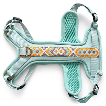 Hundegeschirr Gepolstert Mint/Orange