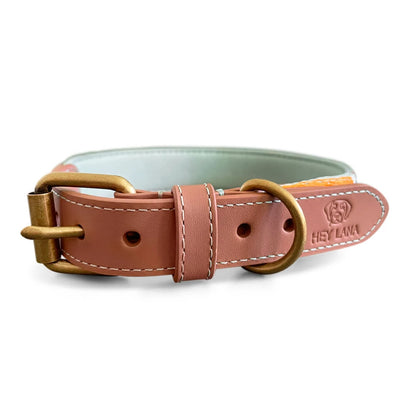 Hundehalsband Gepolstert Mint/Orange