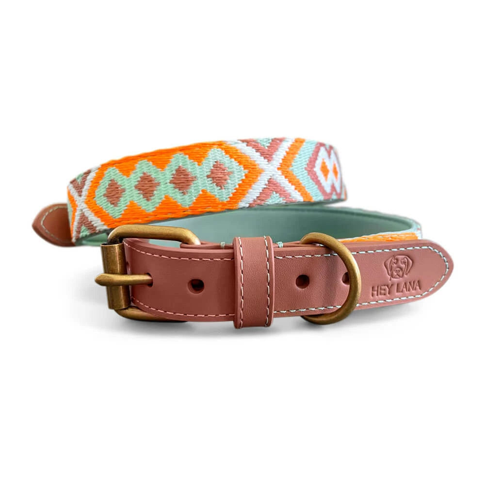 Hundehalsband Gepolstert Mint/Orange
