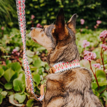 Hundehalsband Gepolstert Pink/Beige