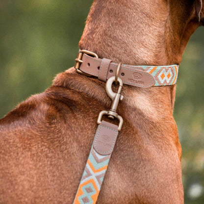 Hundehalsband Gepolstert Mint/Orange