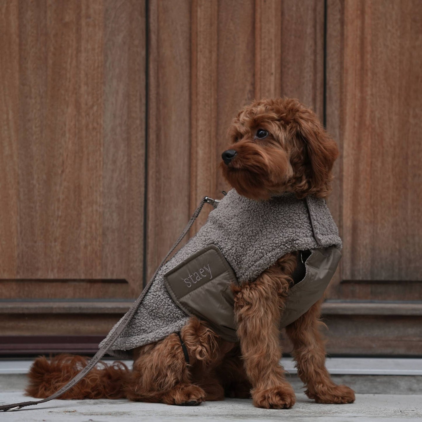 STAEY Hundemantel Teddy Taupe am Hund