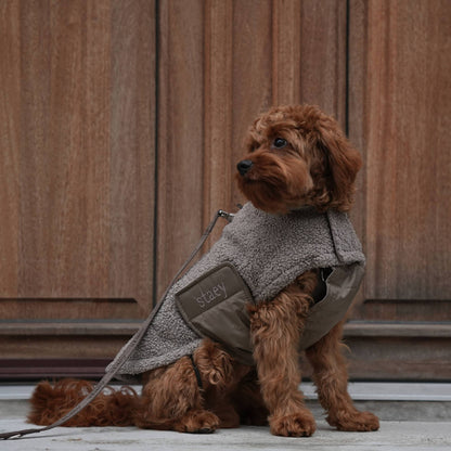 STAEY Hundemantel Teddy Taupe am Hund