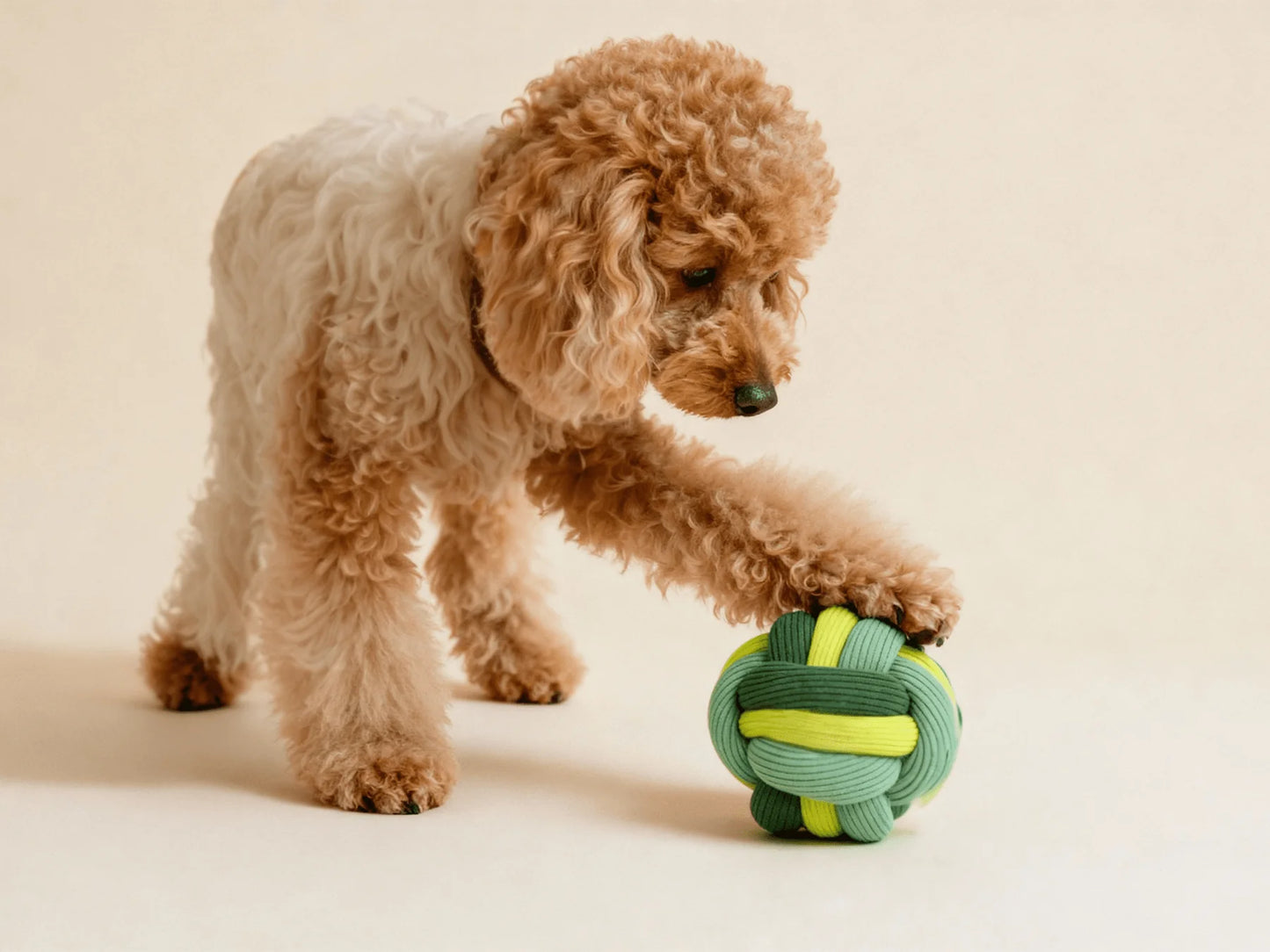 Schnüffelball Twisty Ball Matcha