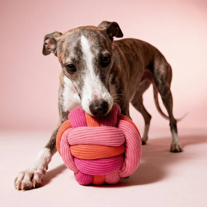 lumiies Twisty Ball Berry – Schnüffelspiel mit Hund