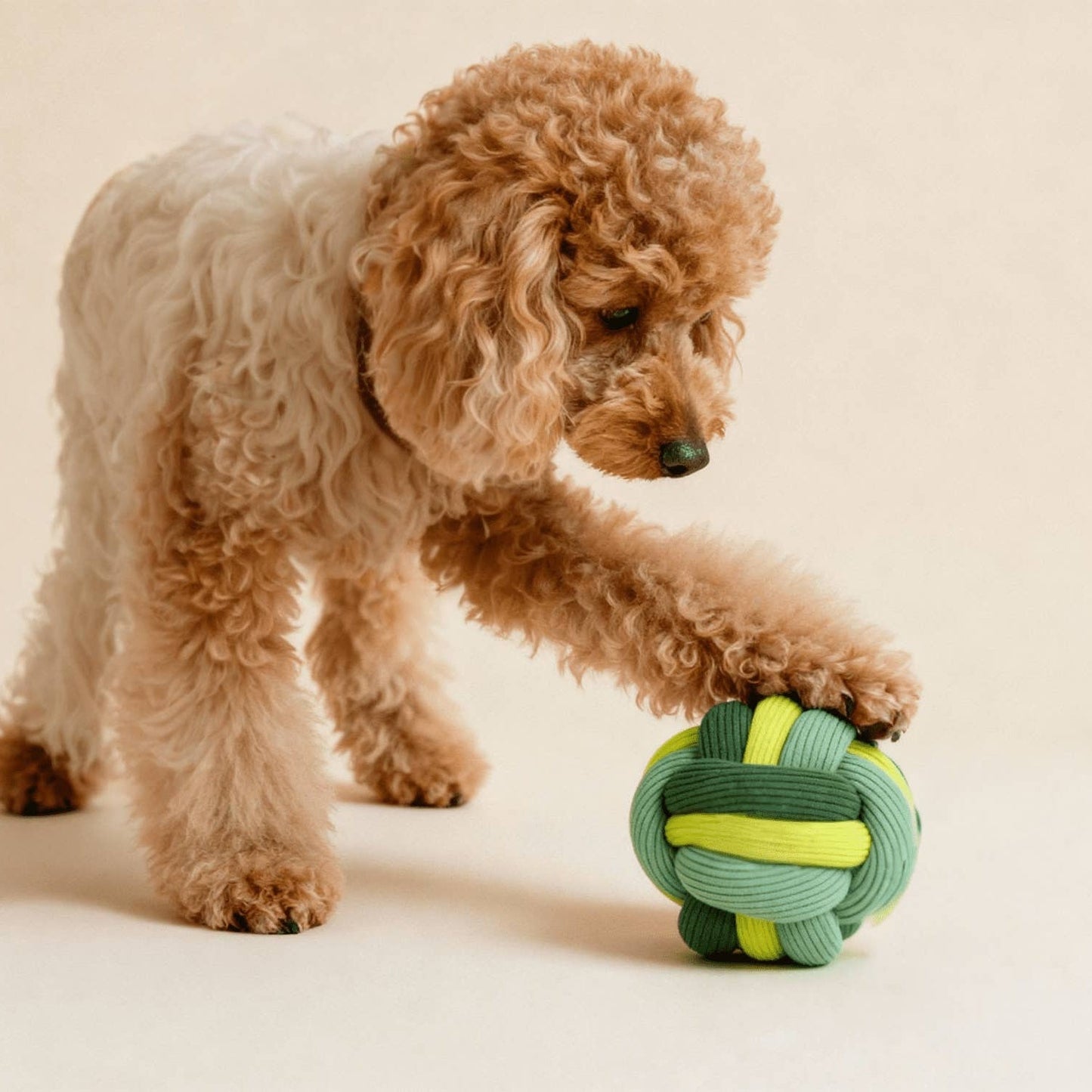 lumiies Twisty Ball Matcha – Schnüffelspiel mit Hund