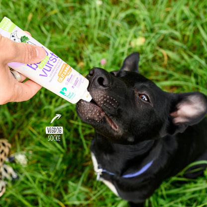 VEGDOG Belly Vurst – Hund bekommt eine Belohnung aus der Tube