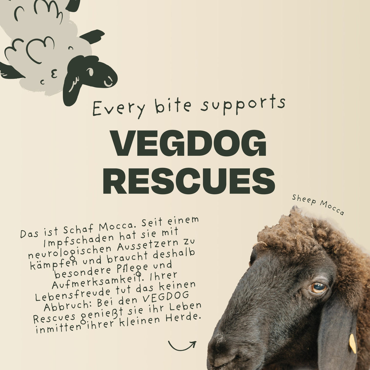 VEGDOG Winter Cookies – Informationen zum VEGDOG-Rescues-Projekt