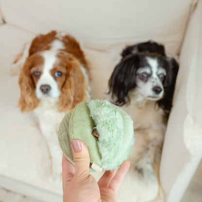 Schnüffelball Toto Small Fern