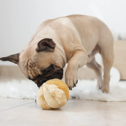 Schnüffelball Toto Small Gelb