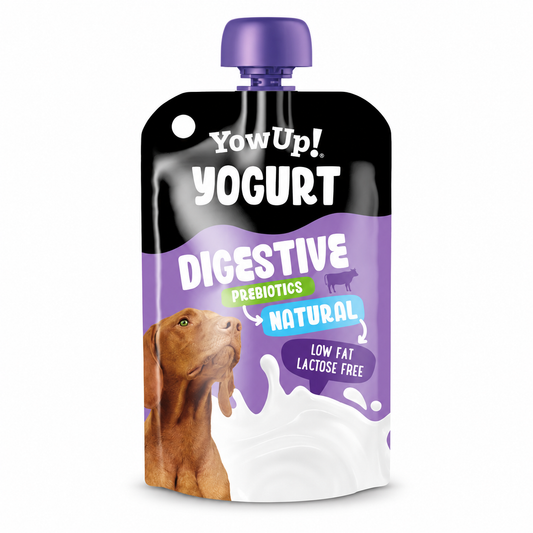 YowUp! Yoghurt Natural Prebiotics – aktuelle Verpackung
