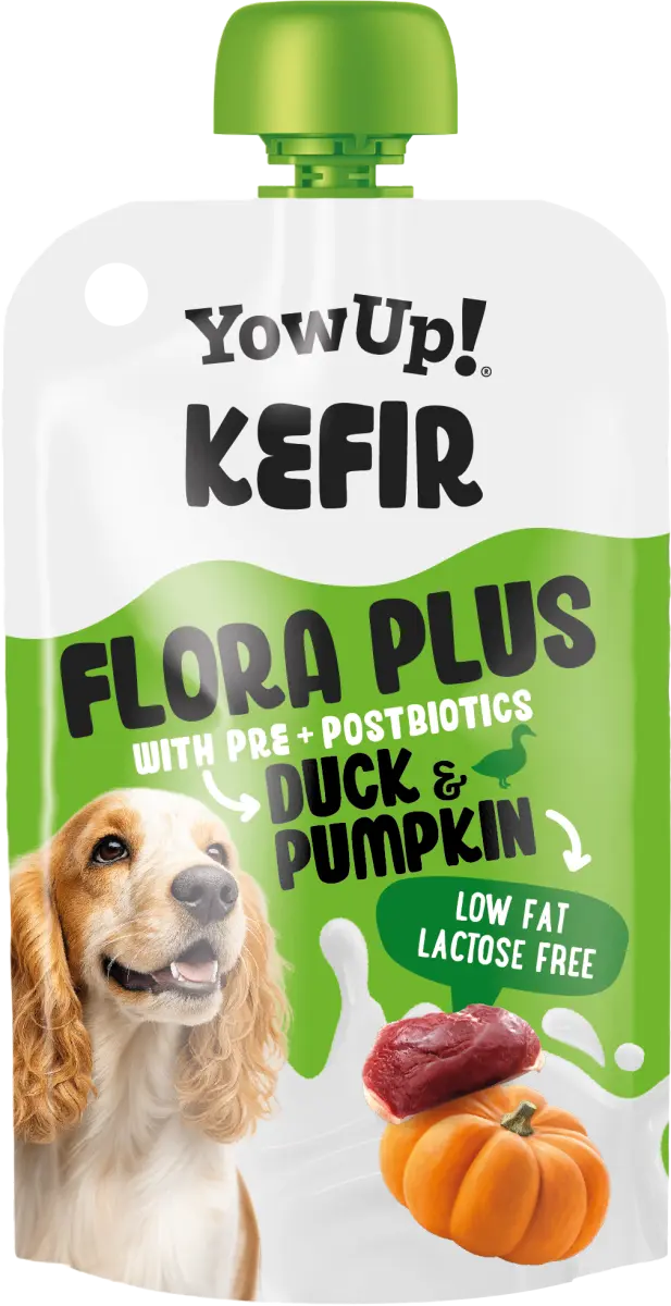 Kefir Ente & Kürbis