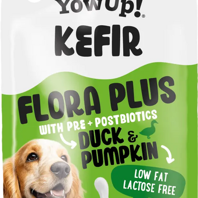 Kefir Ente & Kürbis