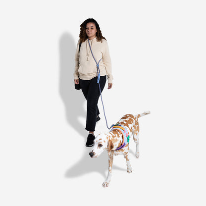 Zee.Dog Andromeda – Ansicht 2
