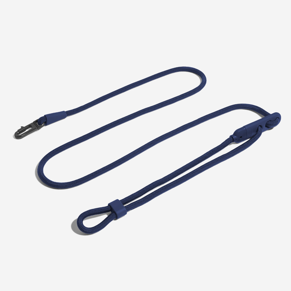 Zee.Dog Deep Blue – Produktansicht