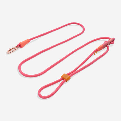 Hands-Free Hundeleine Gazelle