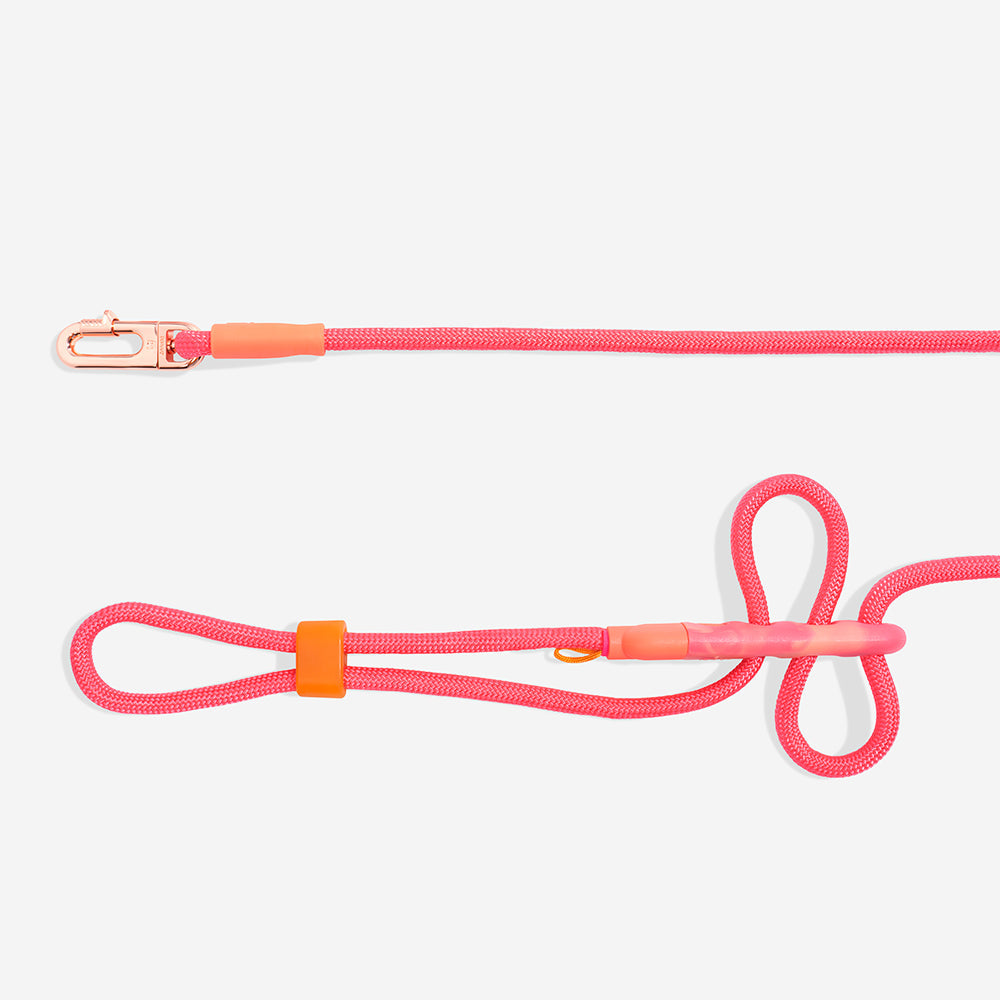 Zee.Dog Gazelle – Ansicht 2