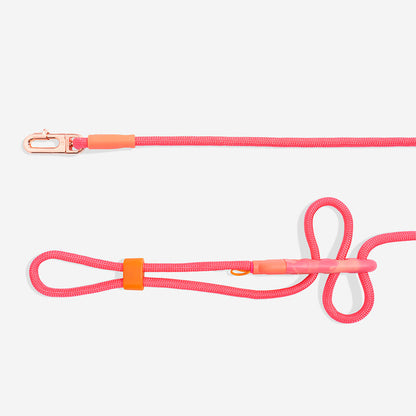 Zee.Dog Gazelle – Ansicht 2