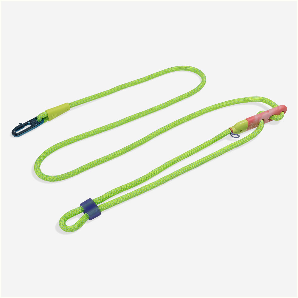 Zee.Dog GLO – Produktansicht
