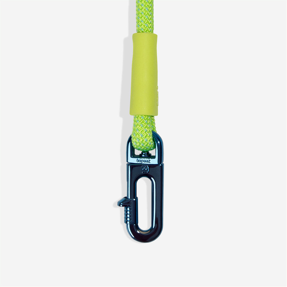 Zee.Dog GLO – Ansicht 3