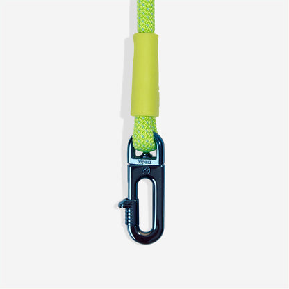 Zee.Dog GLO – Ansicht 3