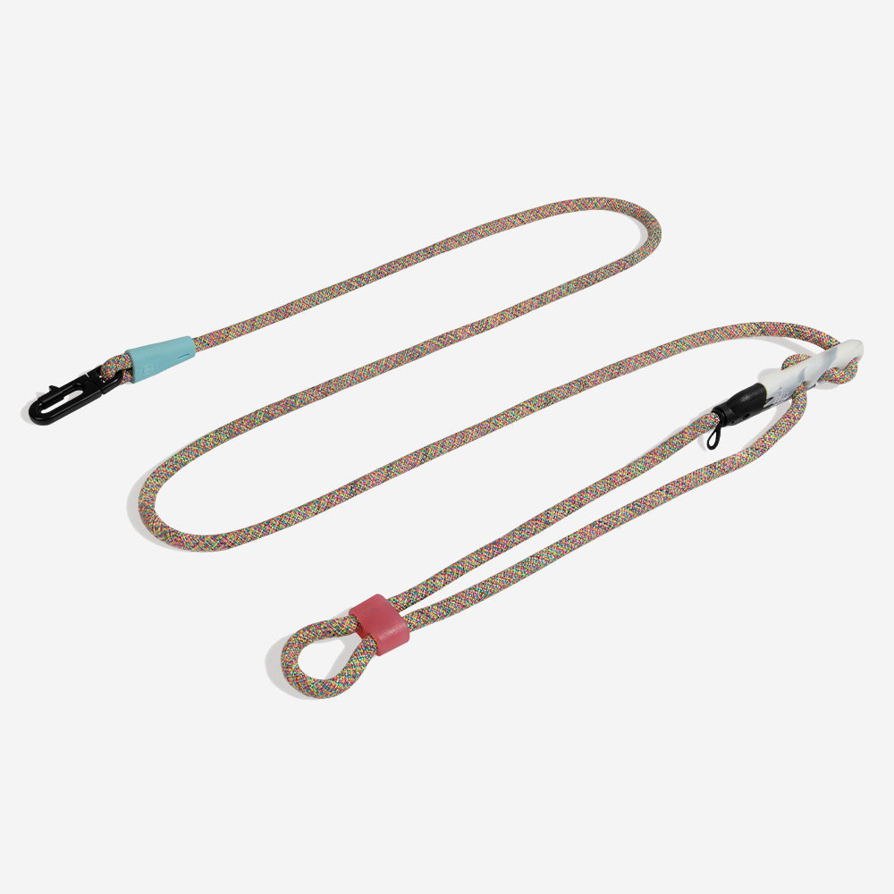 Zee.Dog Gravity – Produktansicht