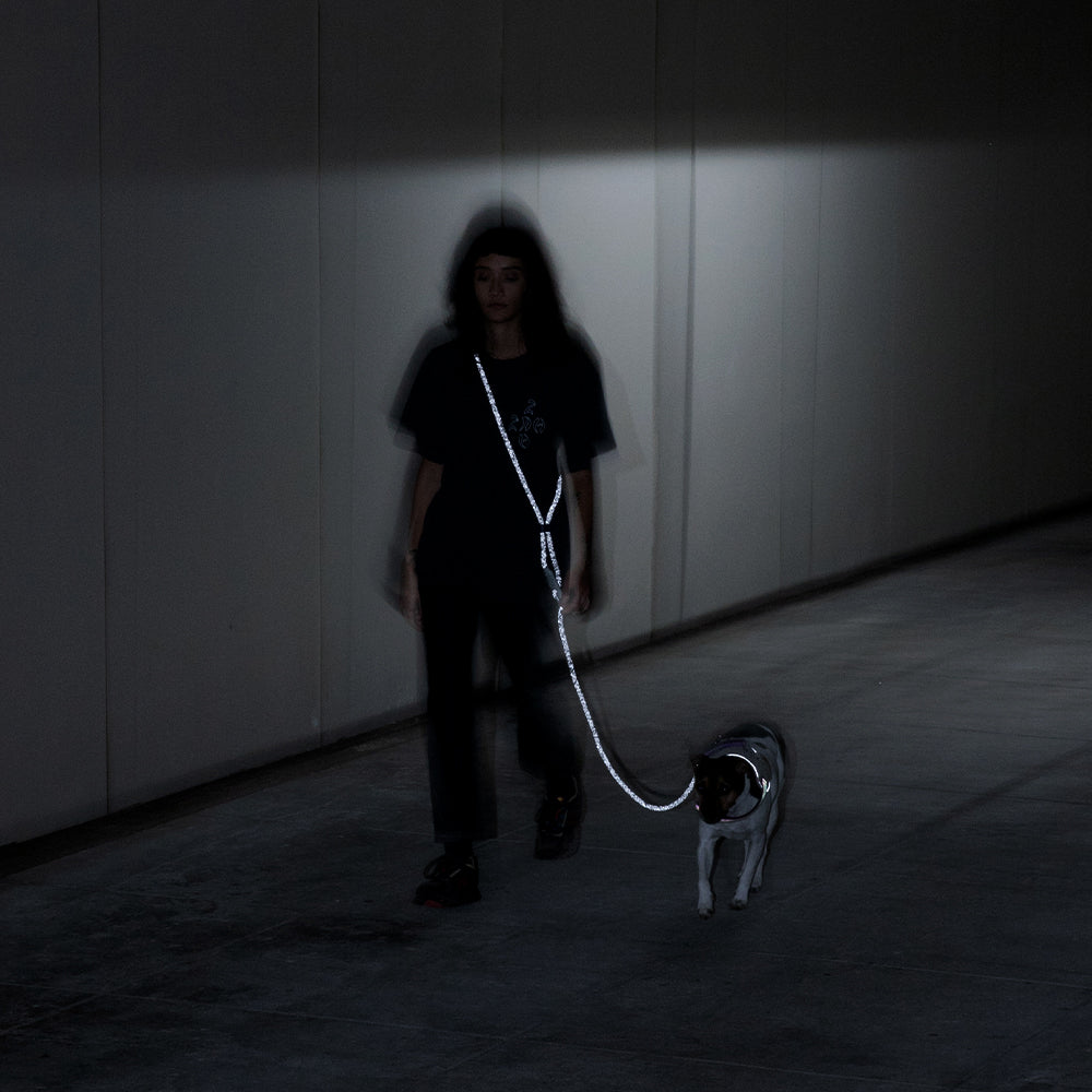 Zee.Dog NOX – Ansicht 3