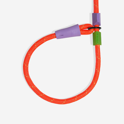 Zee.Dog Slip-N-Lock Everest – Produktansicht