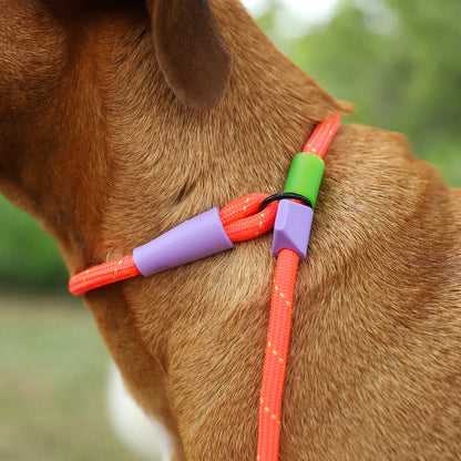 Zee.Dog Slip-N-Lock Everest – Ansicht 3