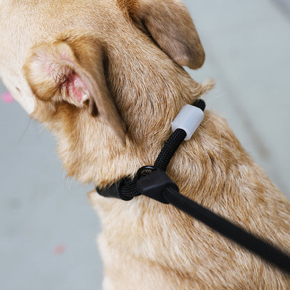 Zee.Dog Slip-N-Lock Gotham – Ansicht 2