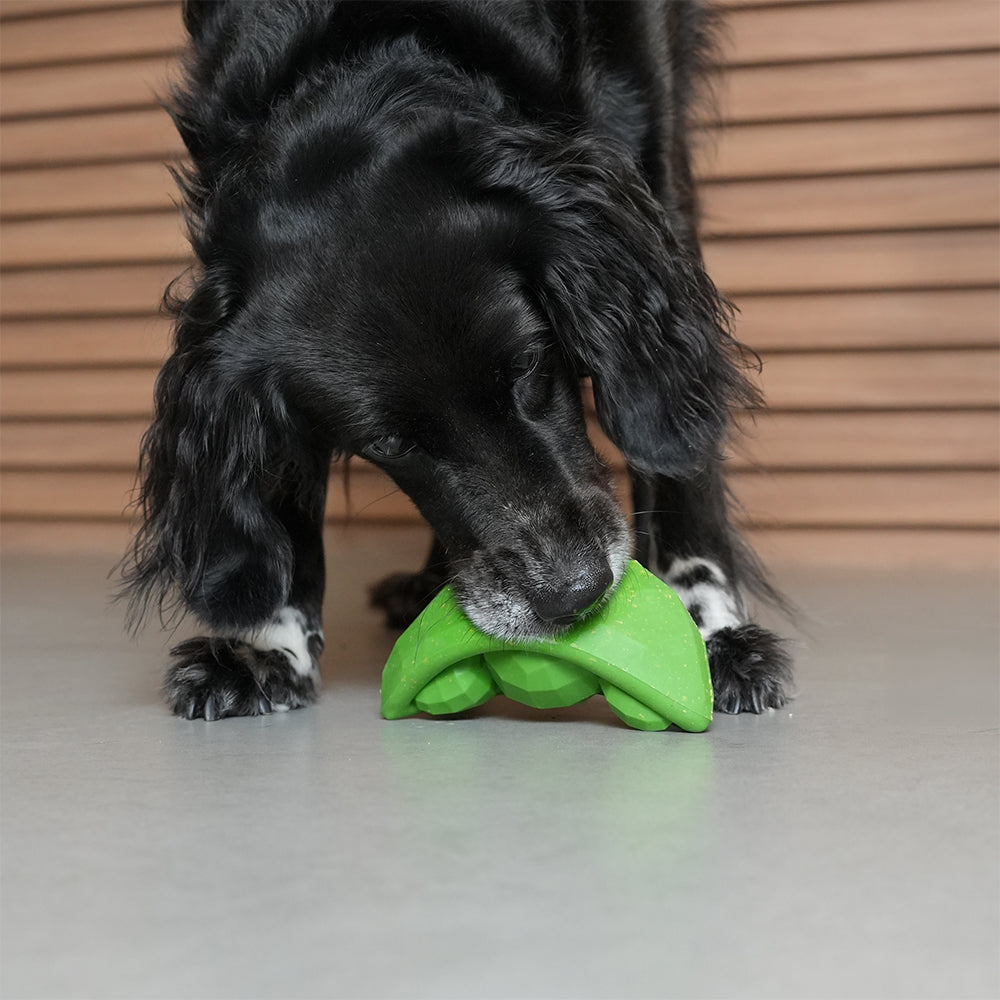 Zee.Dog Super Veggiez Green Bean – Ansicht 3