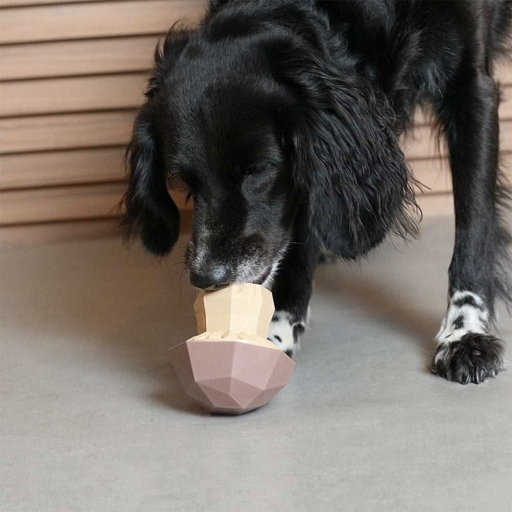 Zee.Dog Super Veggiez Mushroom – Ansicht 4